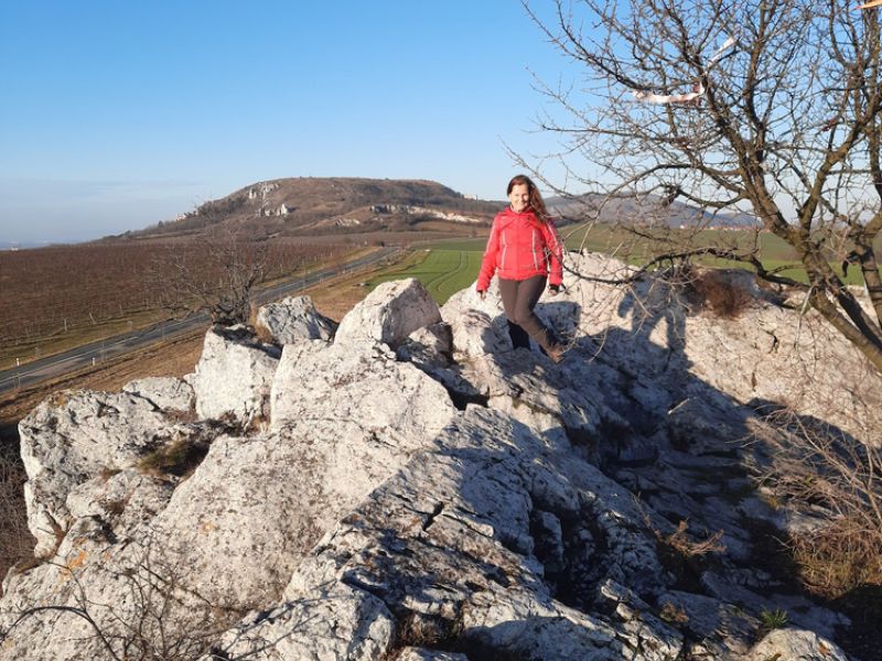 KOČIČÍ SKÁLA U MIKULOVA
